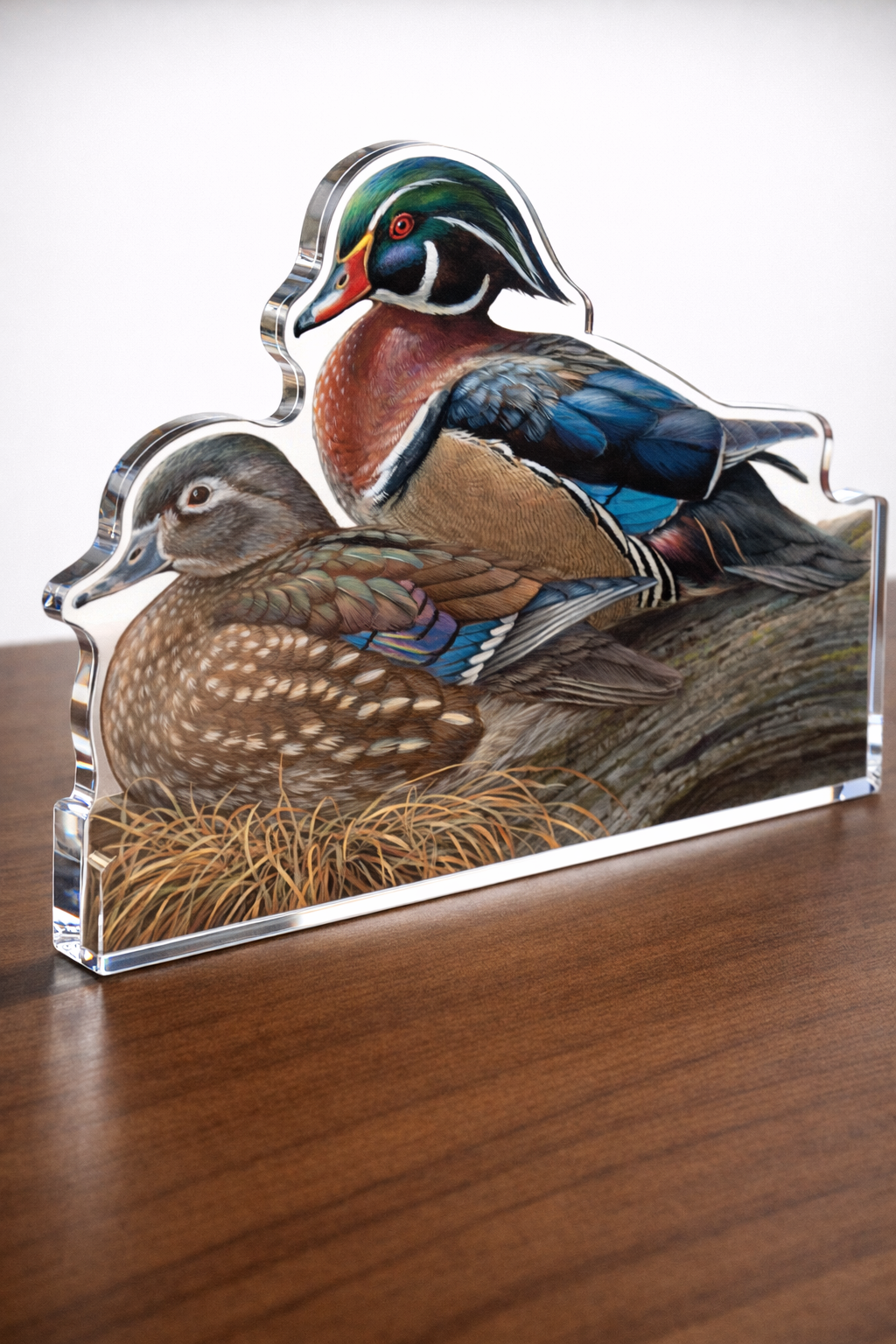 Sitting Pretty - Wood Ducks Acrylic Wall Art & Home Decor