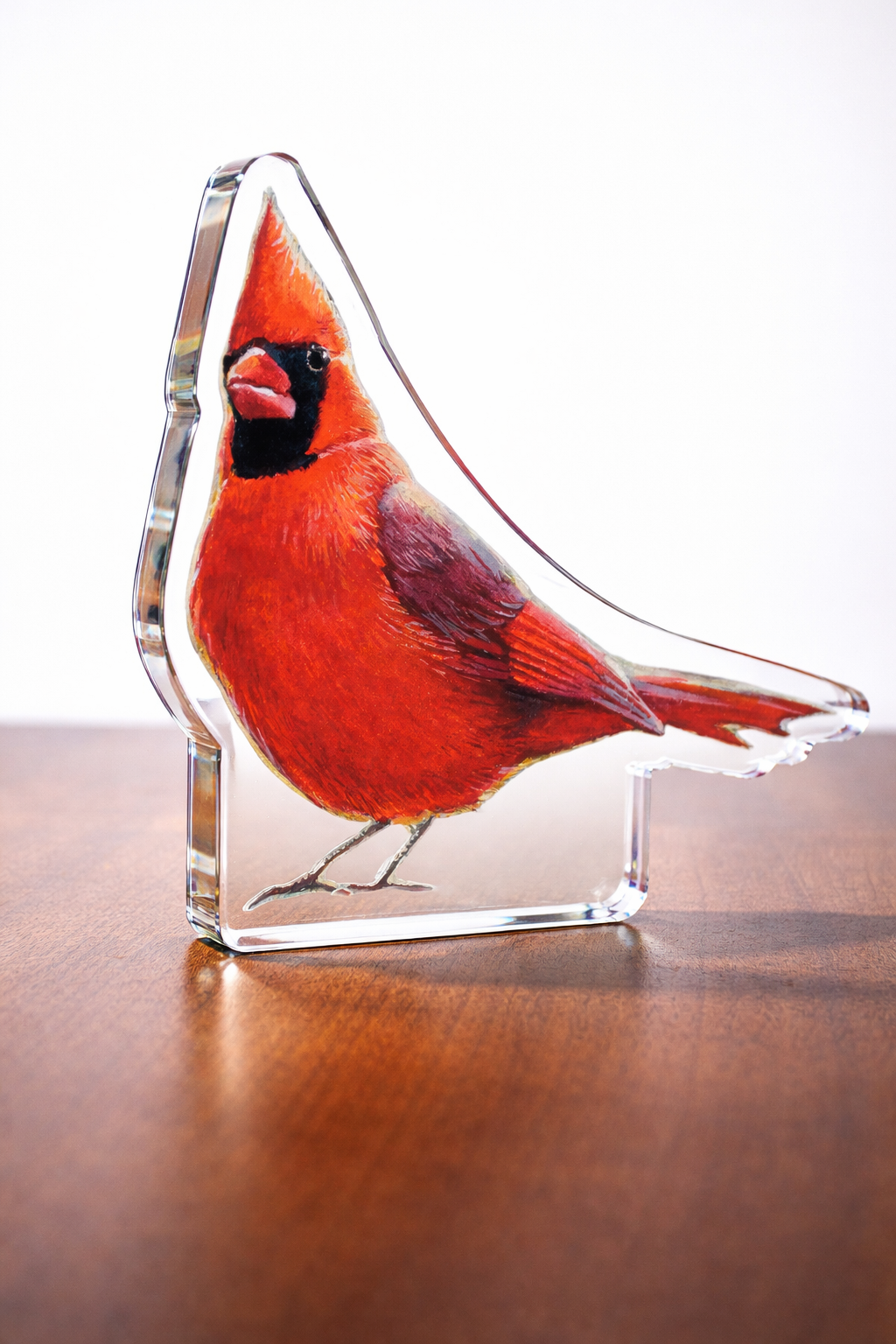 Sunny Side Up - Cardinals Acrylic Wall Art & Home Decor