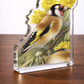 Wishing for a Goldfinch Acrylic Wall Art & Home Decor