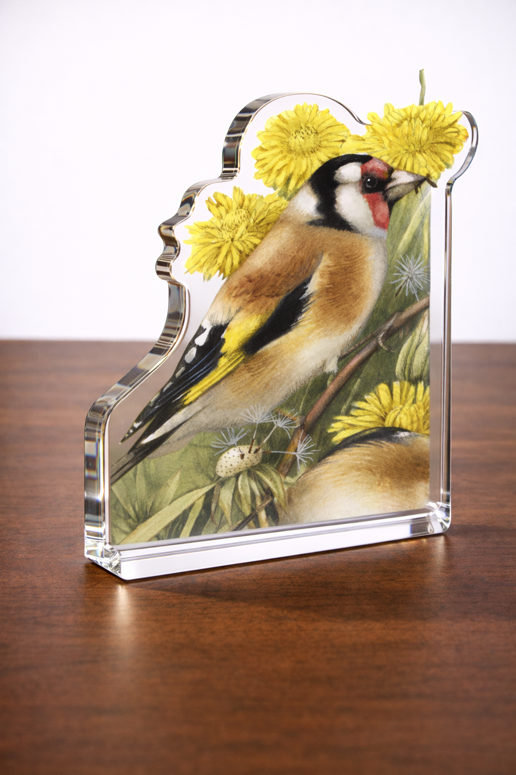 Wishing for a Goldfinch Acrylic Wall Art & Home Decor
