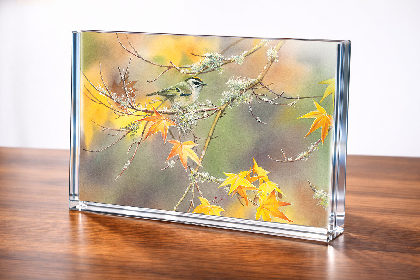 A Kinglet's Gold Acrylic Wall Art & Home Decor