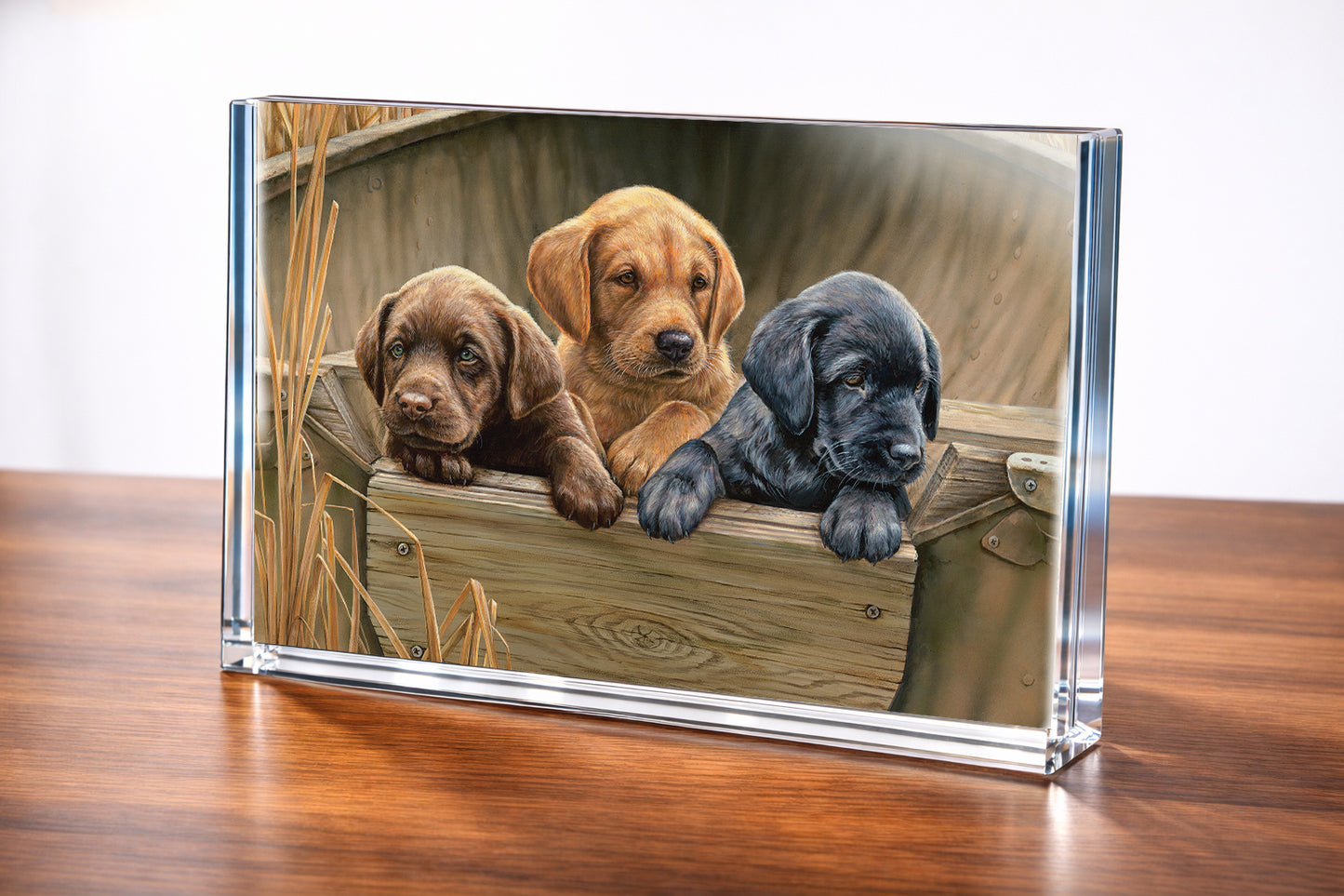 All Hands on Deck Acrylic Wall Art & Home Decor