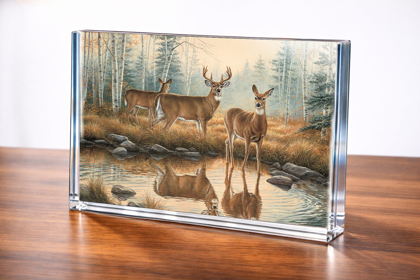 Autumn Reflections - Whitetail Deer Acrylic Wall Art & Home Decor