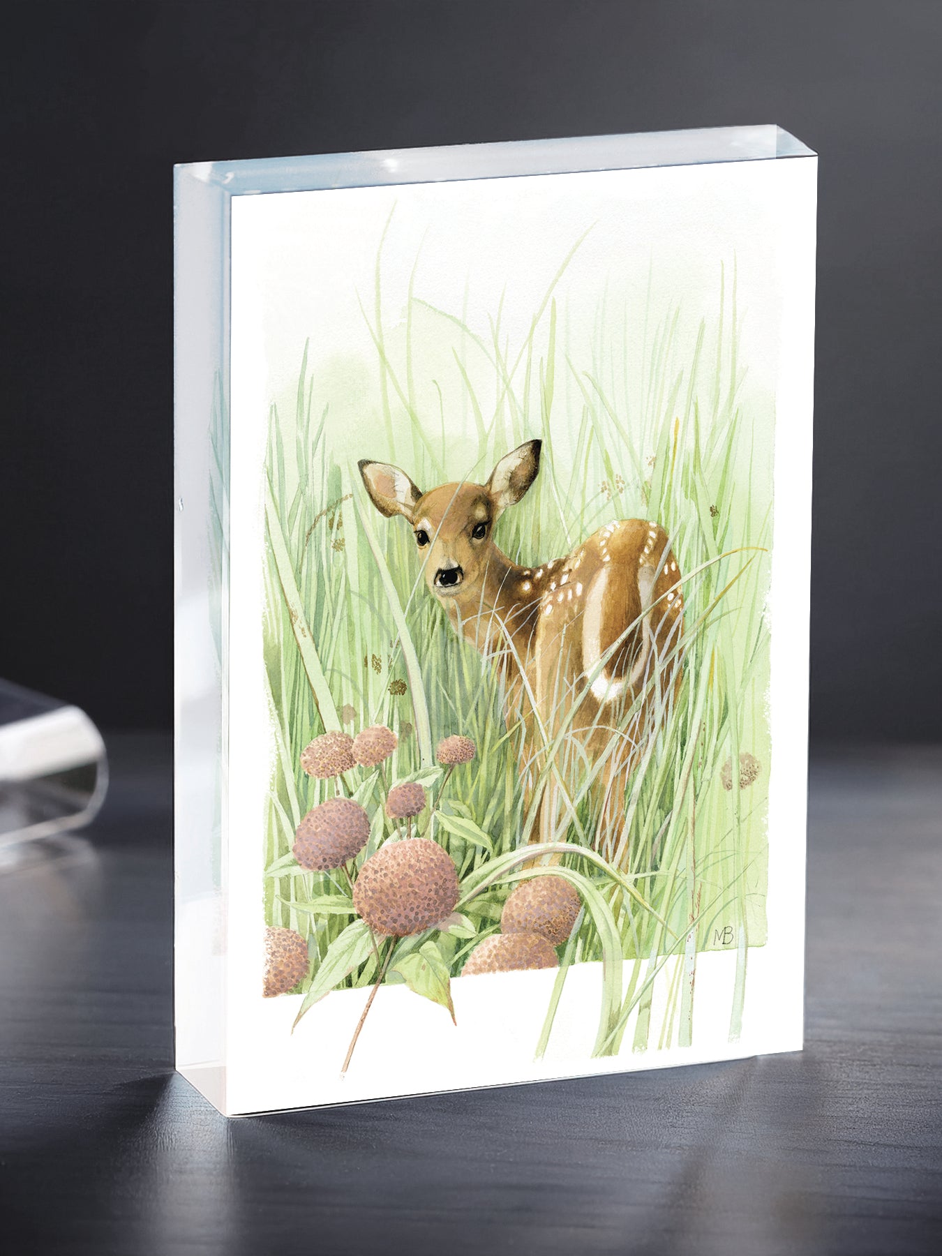 Chance Encounter Acrylic Wall Art & Home Decor