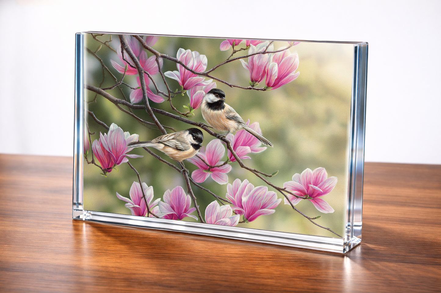 Chickadees and Magnolias Acrylic Wall Art & Home Decor