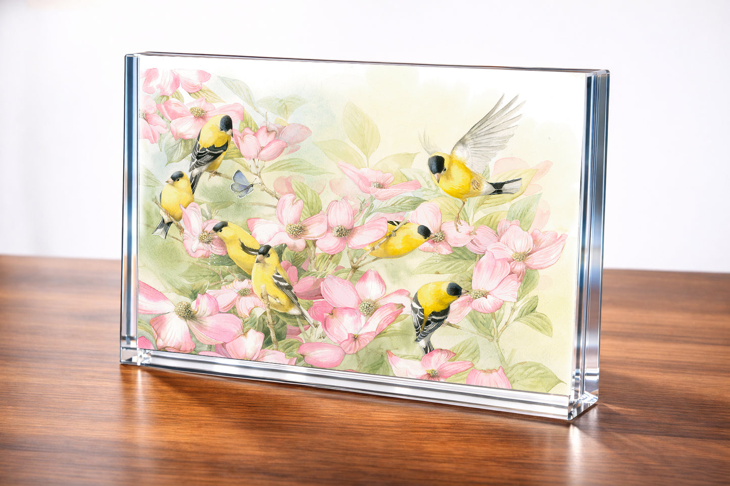 Crowded Dogwood Acrylic Wall Art & Home Decor
