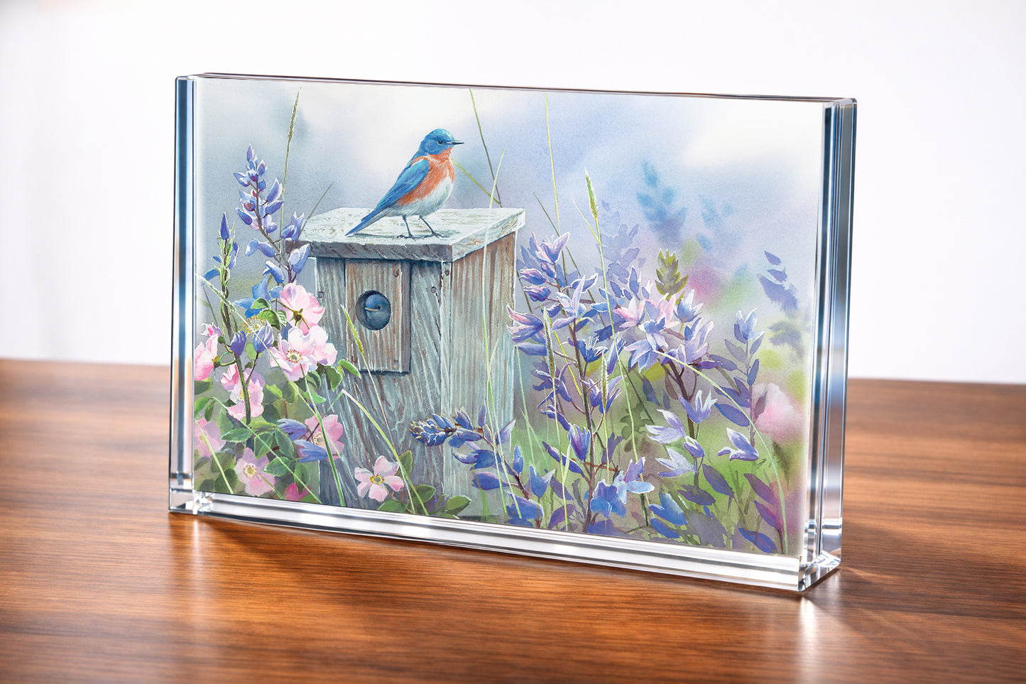 Meadow View - Eastern Bluebird Acrylic Wall Art & Home Decor