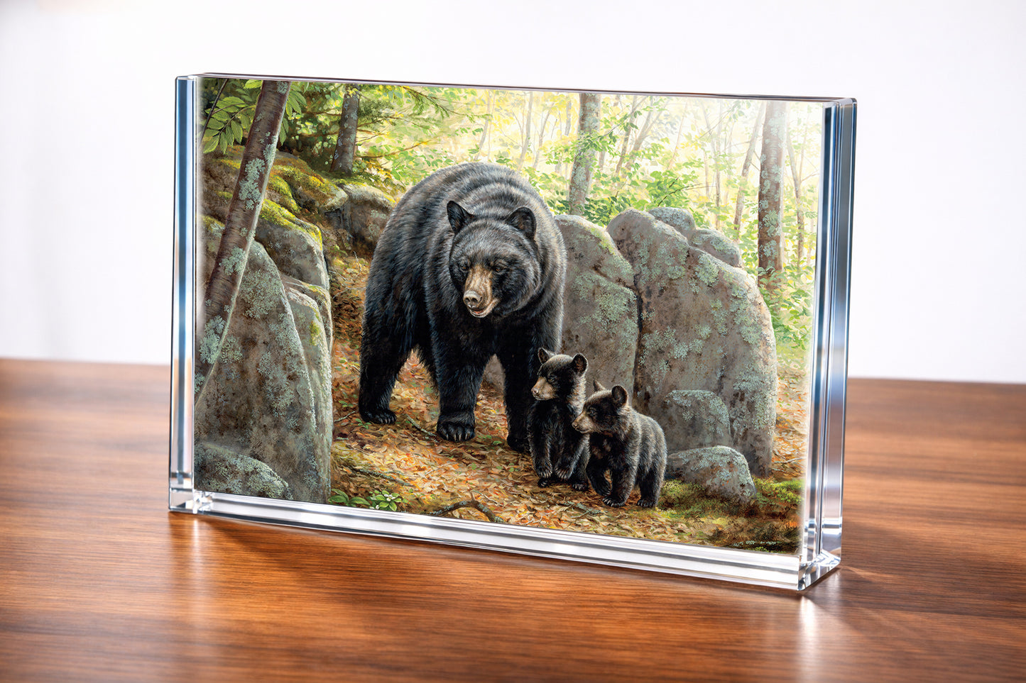 Northwoods Springtime - Black Bears Acrylic Wall Art & Home Decor