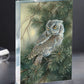 Screech Owl Acrylic Wall Art & Home Decor