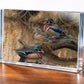 Sitting Pretty - Wood Ducks Acrylic Wall Art & Home Decor