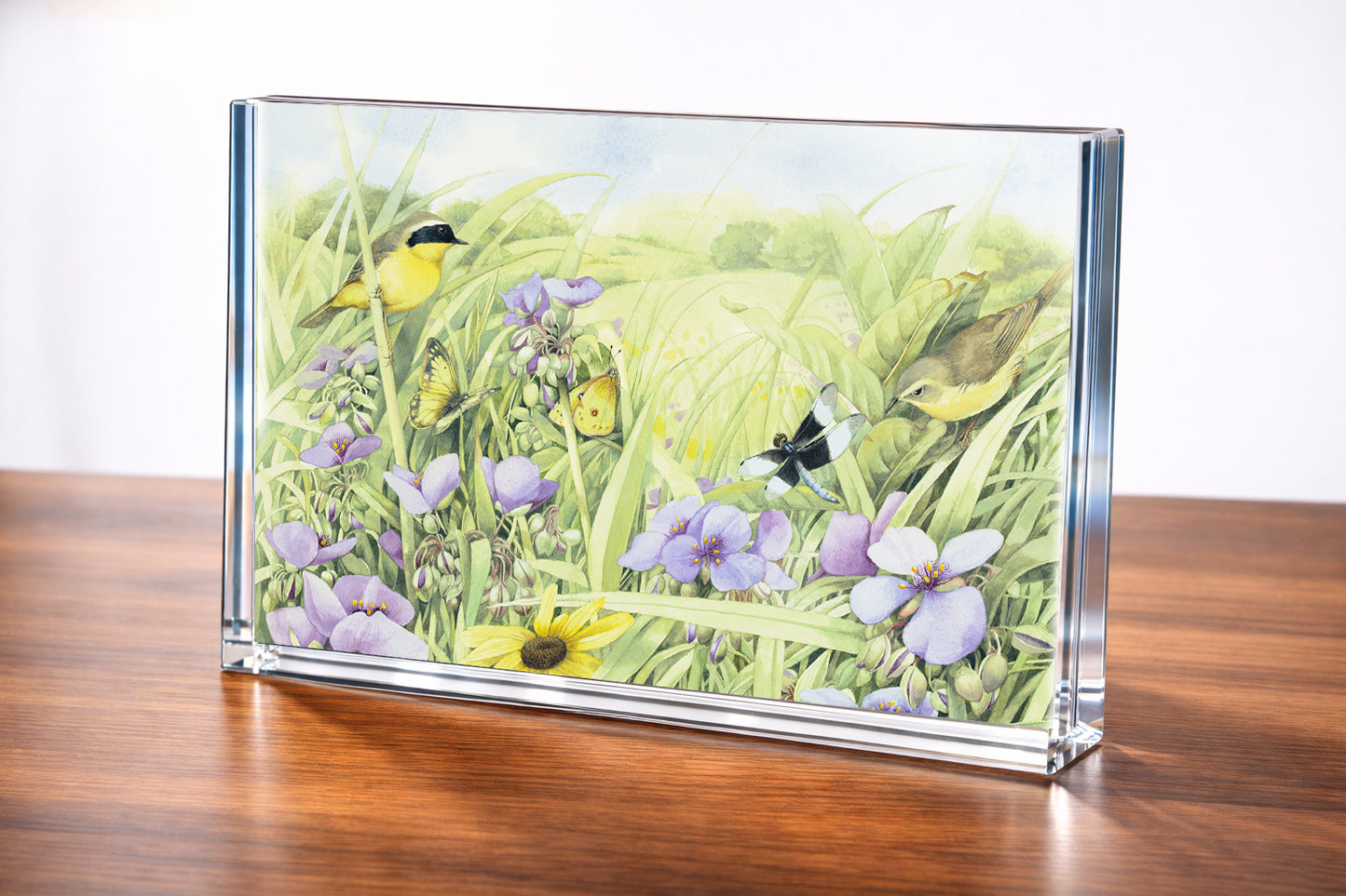 Summer Abundance Acrylic Wall Art & Home Decor