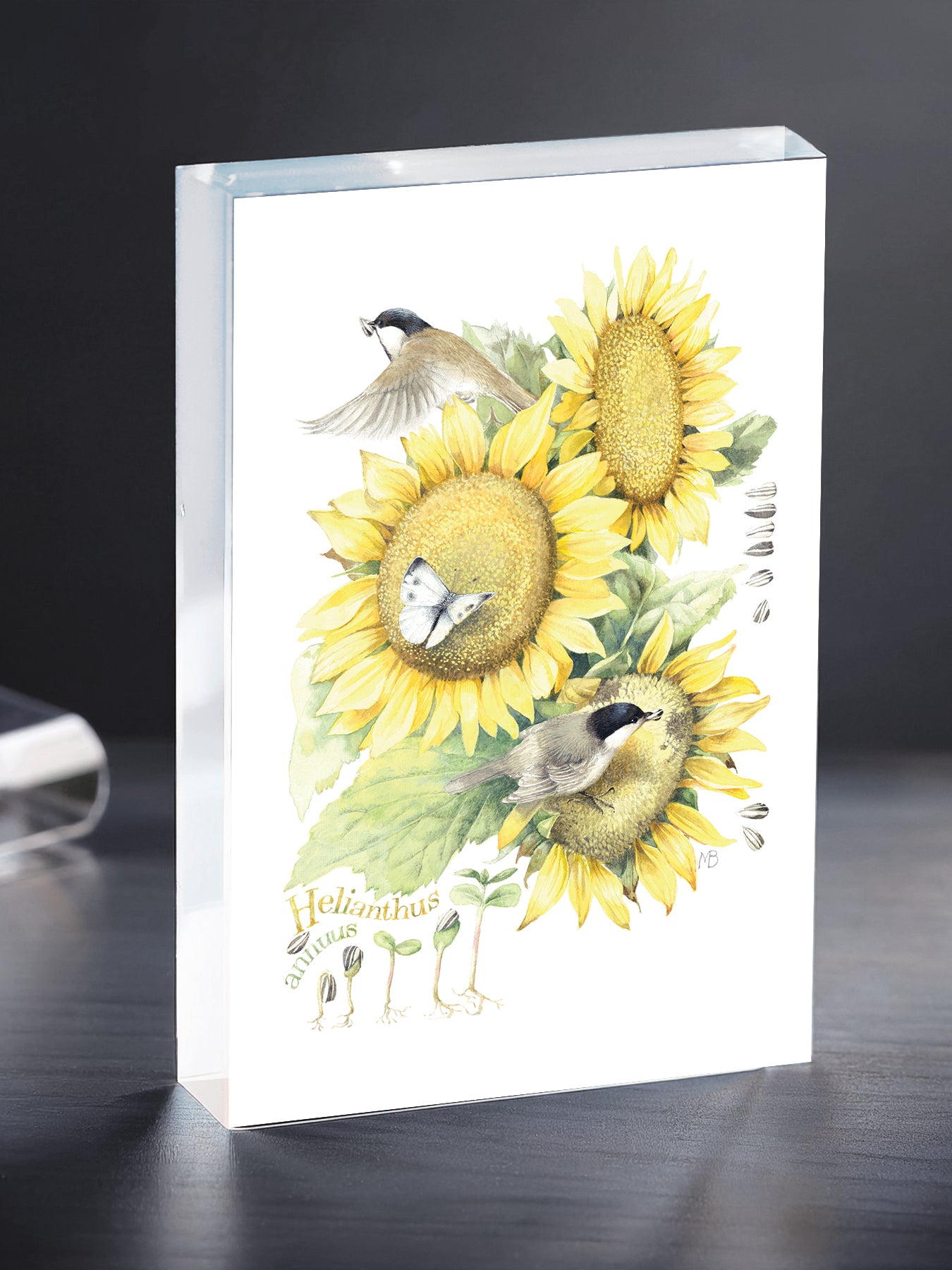 Summer Buffet Acrylic Wall Art & Home Decor