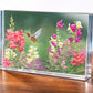 Summer fiesta Acrylic Wall Art & Home Decor