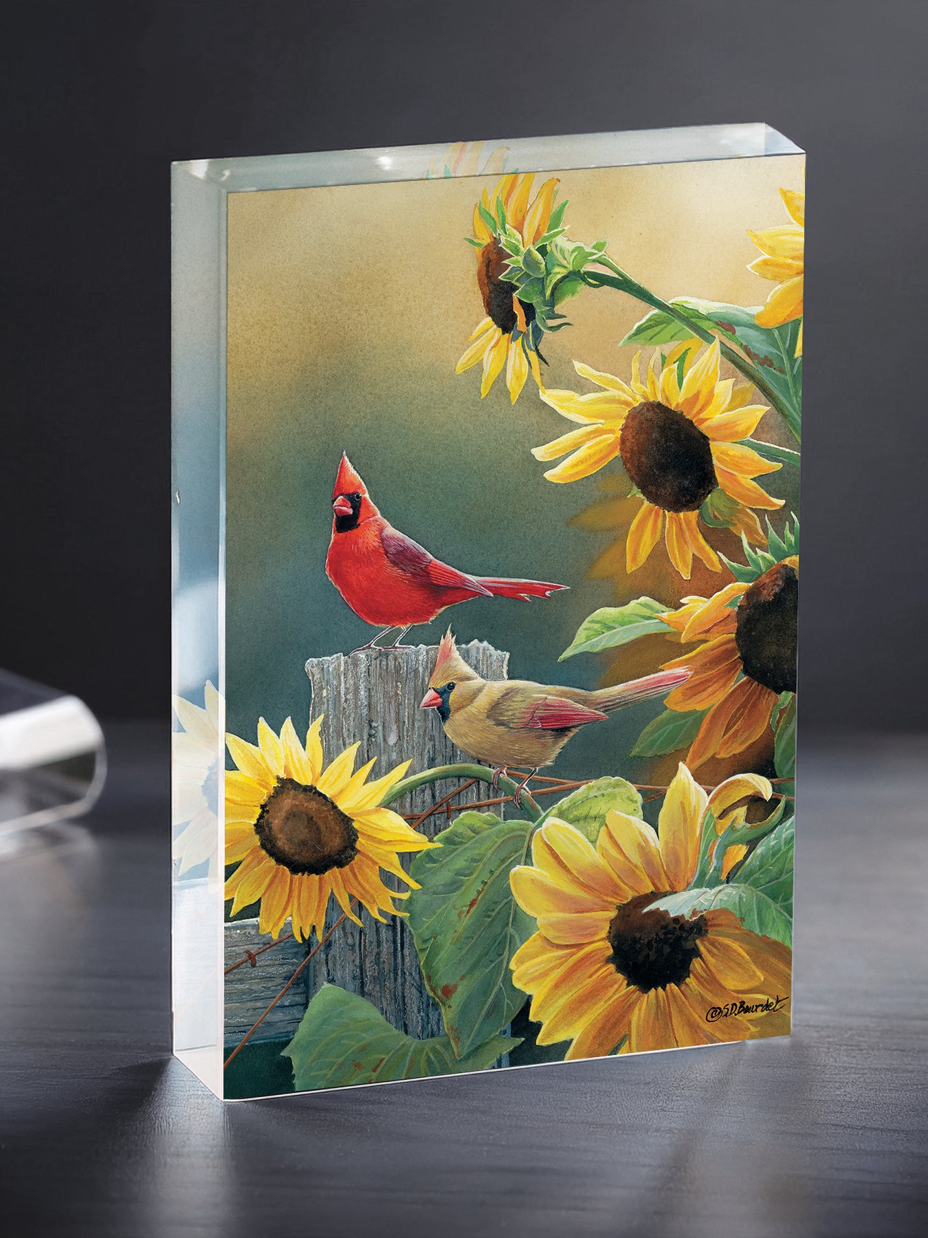 Sunny Side Up - Cardinals Acrylic Wall Art & Home Decor