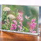 White Sweet Pea Humming Bird Acrylic Wall Art & Home Decor