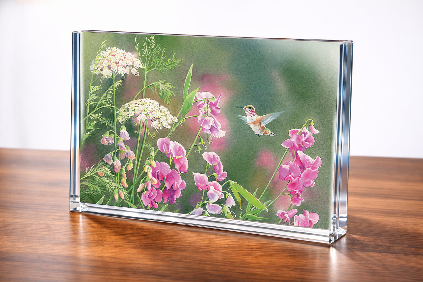 White Sweet Pea Humming Bird Acrylic Wall Art & Home Decor