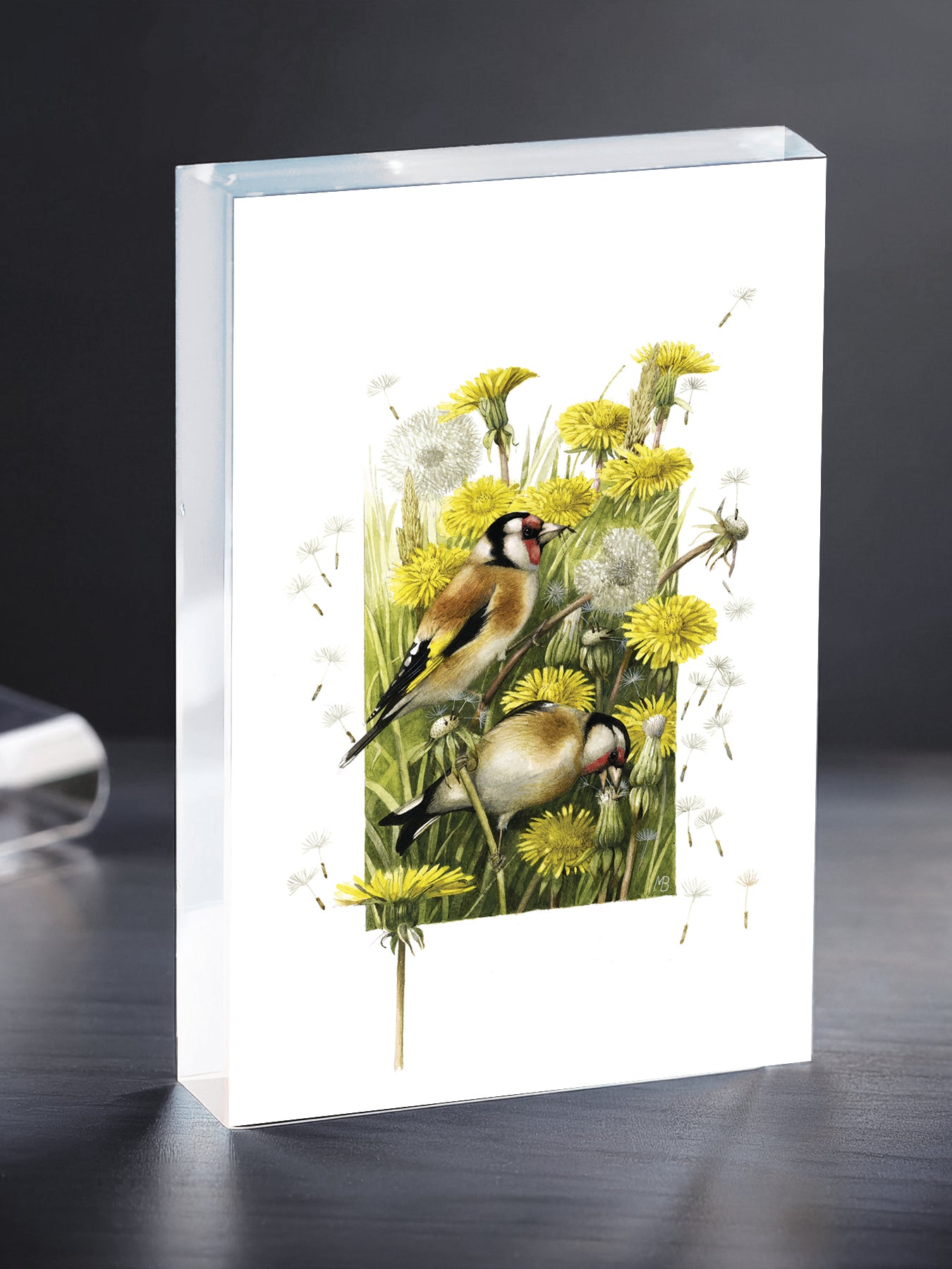 Wishing for a Goldfinch Acrylic Wall Art & Home Decor