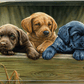 All Hands on Deck Acrylic Wall Art & Home Decor