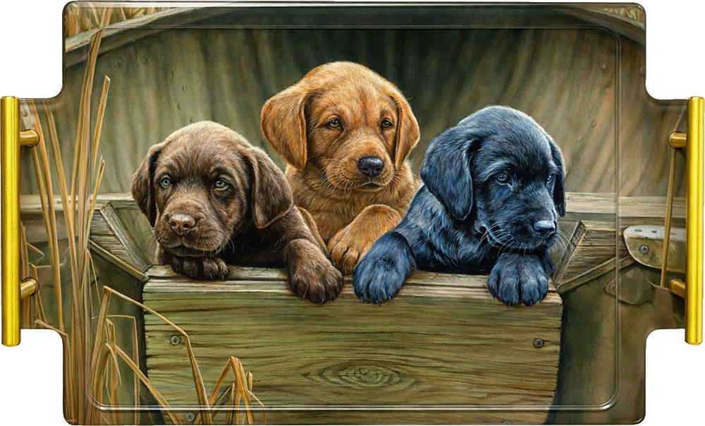 All Hands on Deck Acrylic Wall Art & Home Decor
