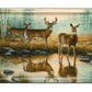 Autumn Reflections - Whitetail Deer Acrylic Wall Art & Home Decor