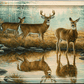 Autumn Reflections - Whitetail Deer Acrylic Wall Art & Home Decor