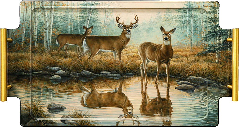 Autumn Reflections - Whitetail Deer Acrylic Wall Art & Home Decor