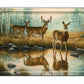 Autumn Reflections - Whitetail Deer Acrylic Wall Art & Home Decor