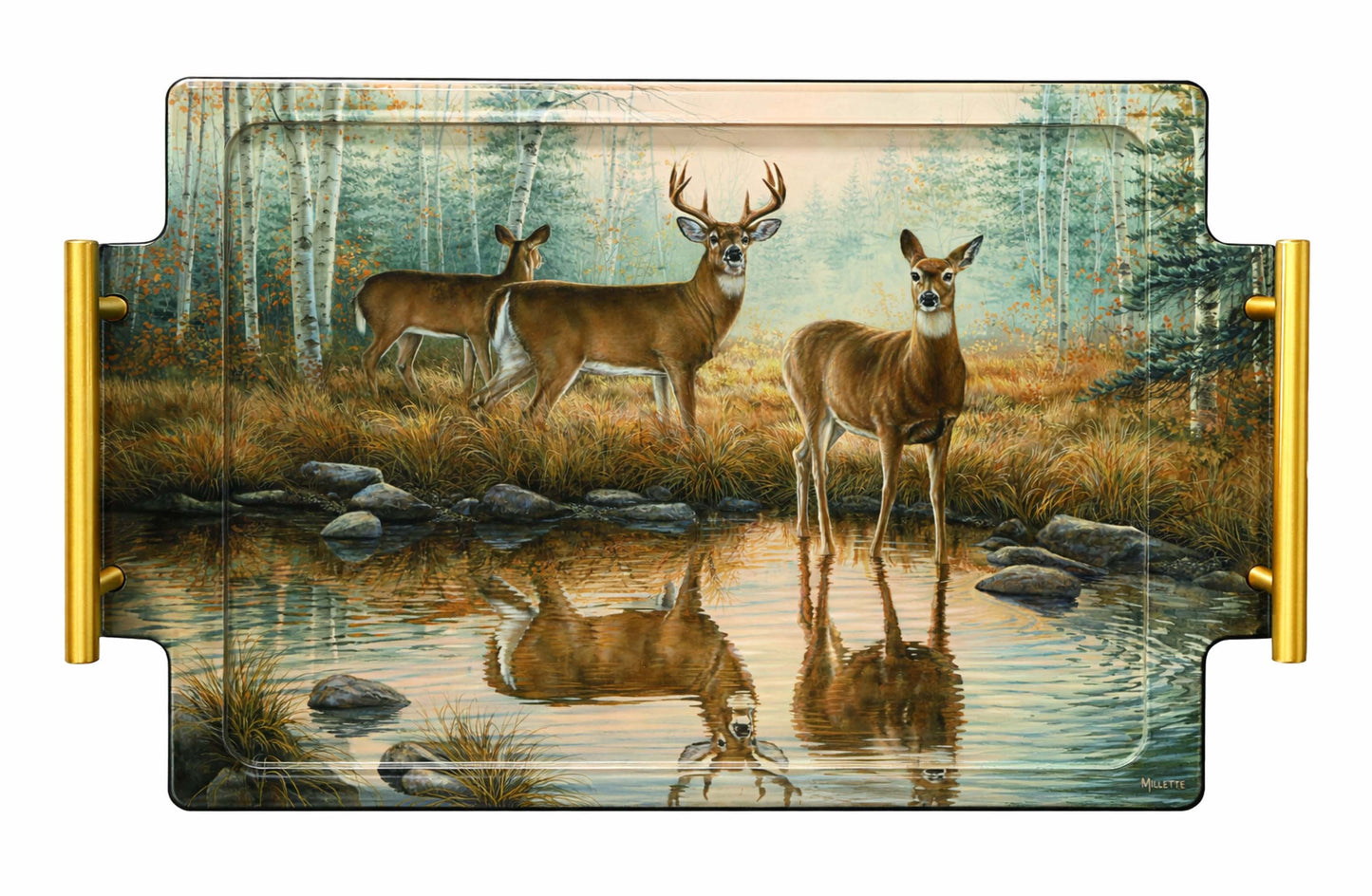 Autumn Reflections - Whitetail Deer Acrylic Wall Art & Home Decor