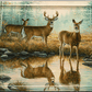 Autumn Reflections - Whitetail Deer Acrylic Wall Art & Home Decor