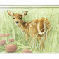 Chance Encounter Acrylic Wall Art & Home Decor