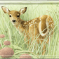 Chance Encounter Acrylic Wall Art & Home Decor