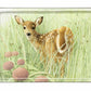 Chance Encounter Acrylic Wall Art & Home Decor