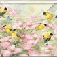 Crowded Dogwood Acrylic Wall Art & Home Decor