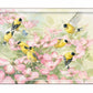 Crowded Dogwood Acrylic Wall Art & Home Decor
