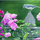 In the Garden Rose Acrylic Wall Art & Home Decor