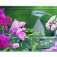 In the Garden Rose Acrylic Wall Art & Home Decor