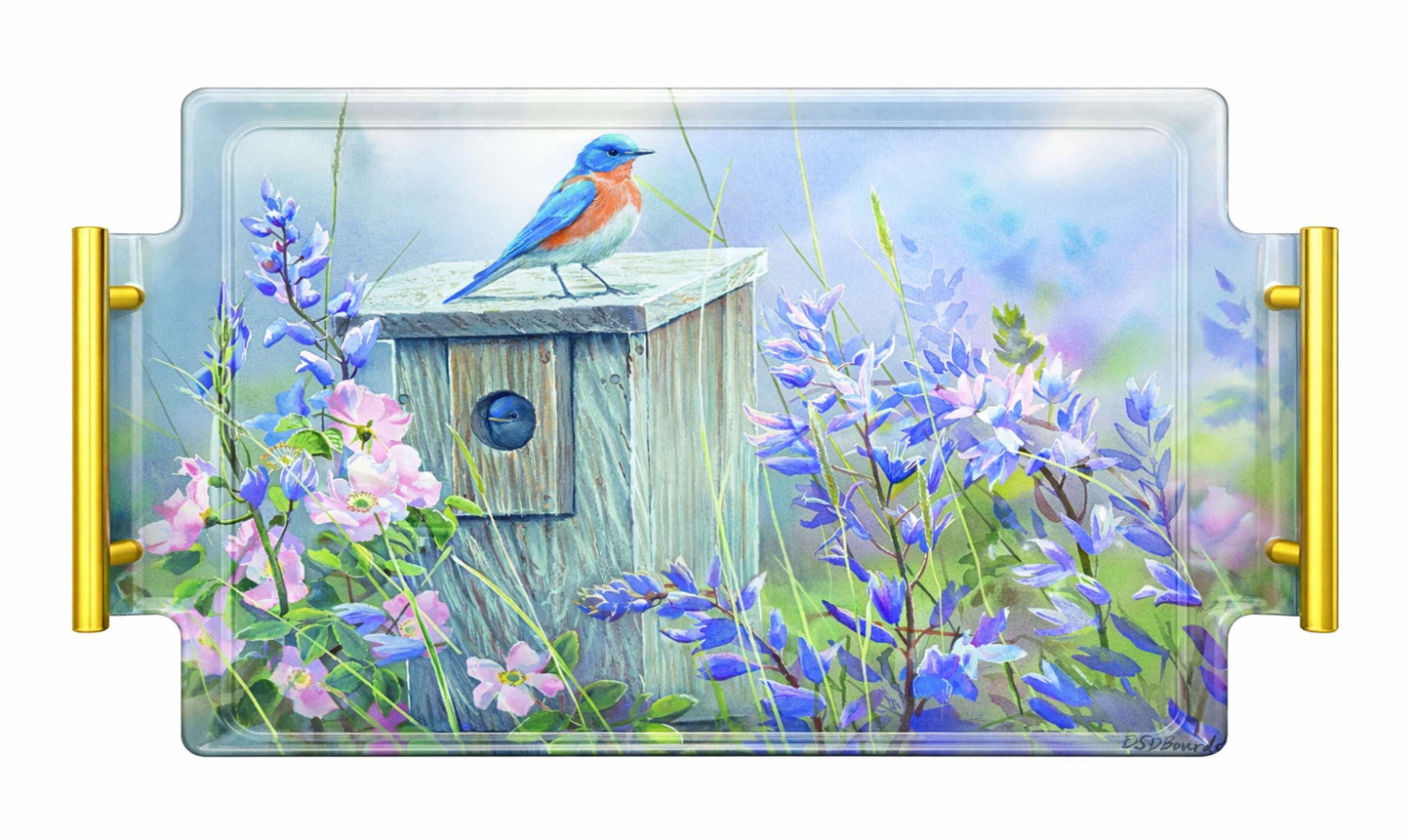 Meadow View - Eastern Bluebird Acrylic Wall Art & Home Decor