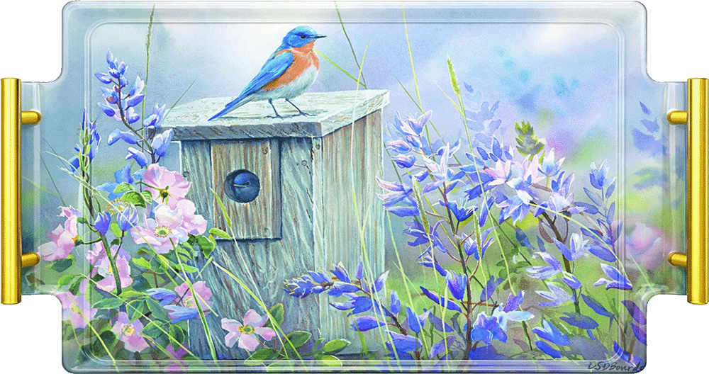 Meadow View - Eastern Bluebird Acrylic Wall Art & Home Decor