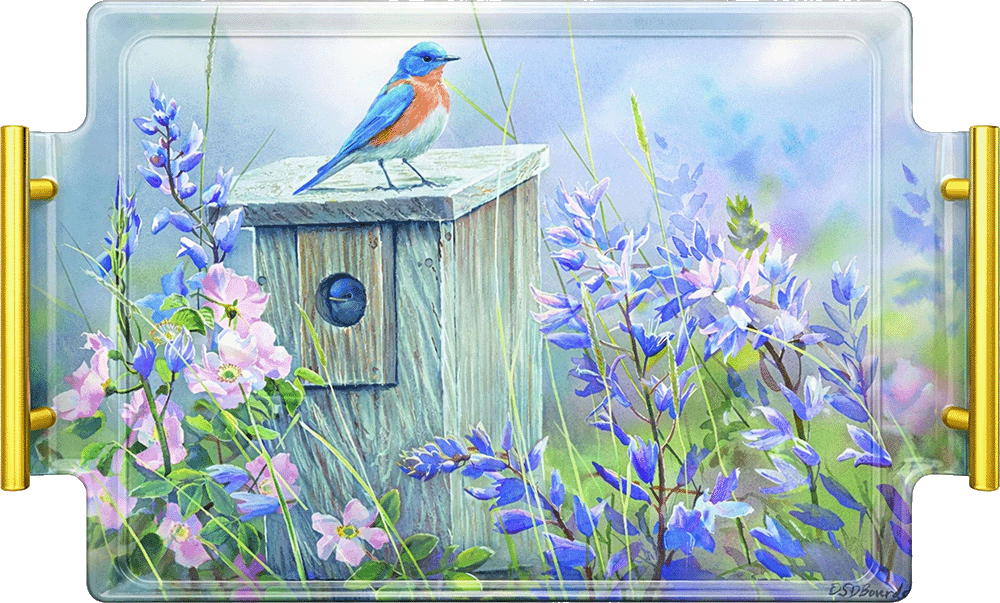 Meadow View - Eastern Bluebird Acrylic Wall Art & Home Decor