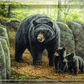 Northwoods Springtime - Black Bears Acrylic Wall Art & Home Decor