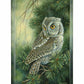 Screech Owl Acrylic Wall Art & Home Decor