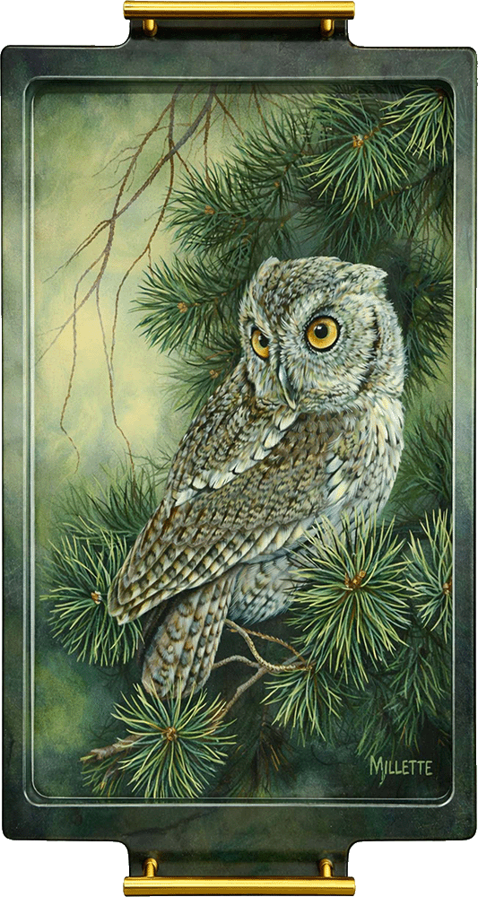 Screech Owl Acrylic Wall Art & Home Decor