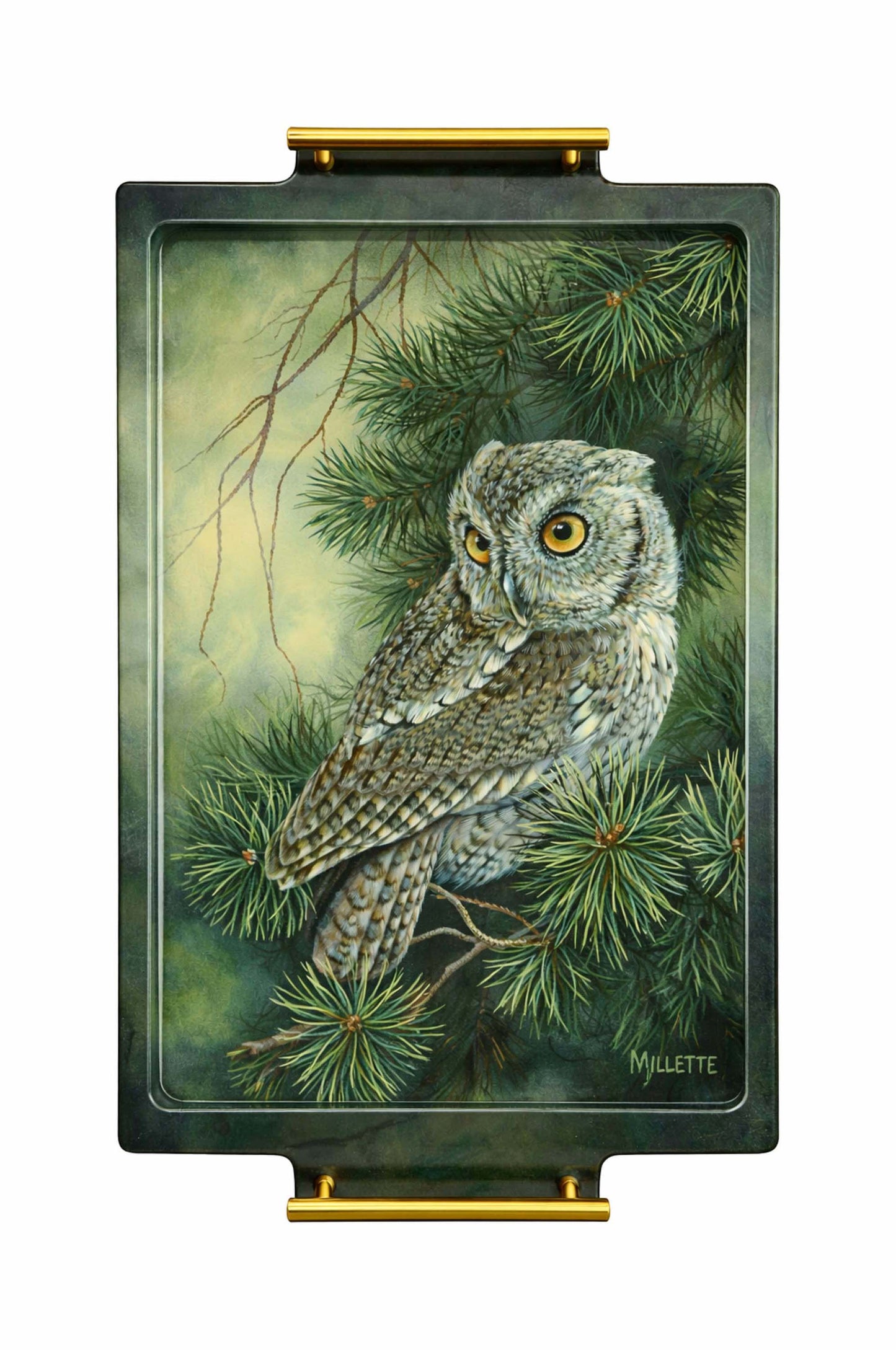 Screech Owl Acrylic Wall Art & Home Decor