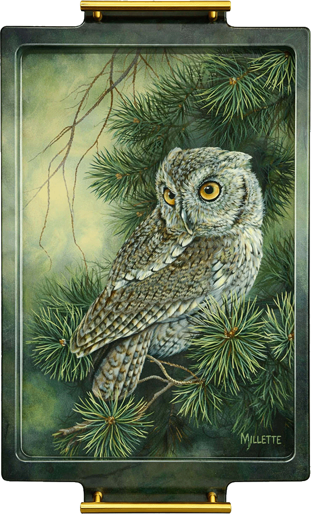 Screech Owl Acrylic Wall Art & Home Decor