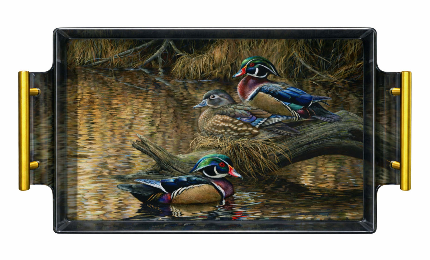 Sitting Pretty - Wood Ducks Acrylic Wall Art & Home Decor
