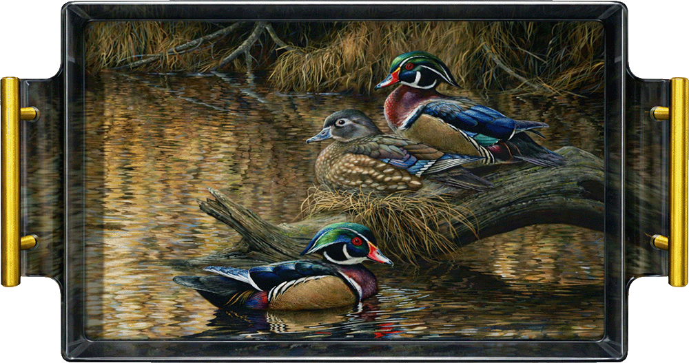 Sitting Pretty - Wood Ducks Acrylic Wall Art & Home Decor