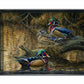 Sitting Pretty - Wood Ducks Acrylic Wall Art & Home Decor