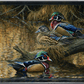 Sitting Pretty - Wood Ducks Acrylic Wall Art & Home Decor