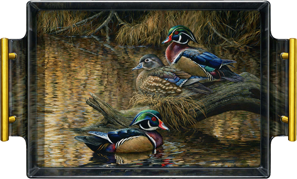 Sitting Pretty - Wood Ducks Acrylic Wall Art & Home Decor