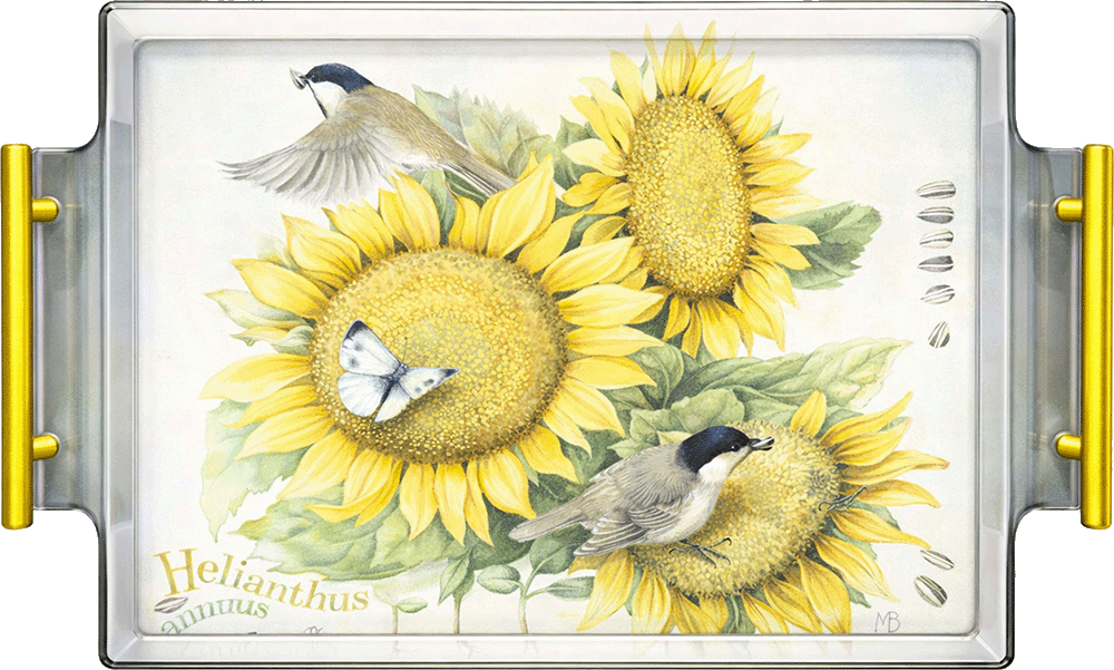 Summer Buffet Acrylic Wall Art & Home Decor
